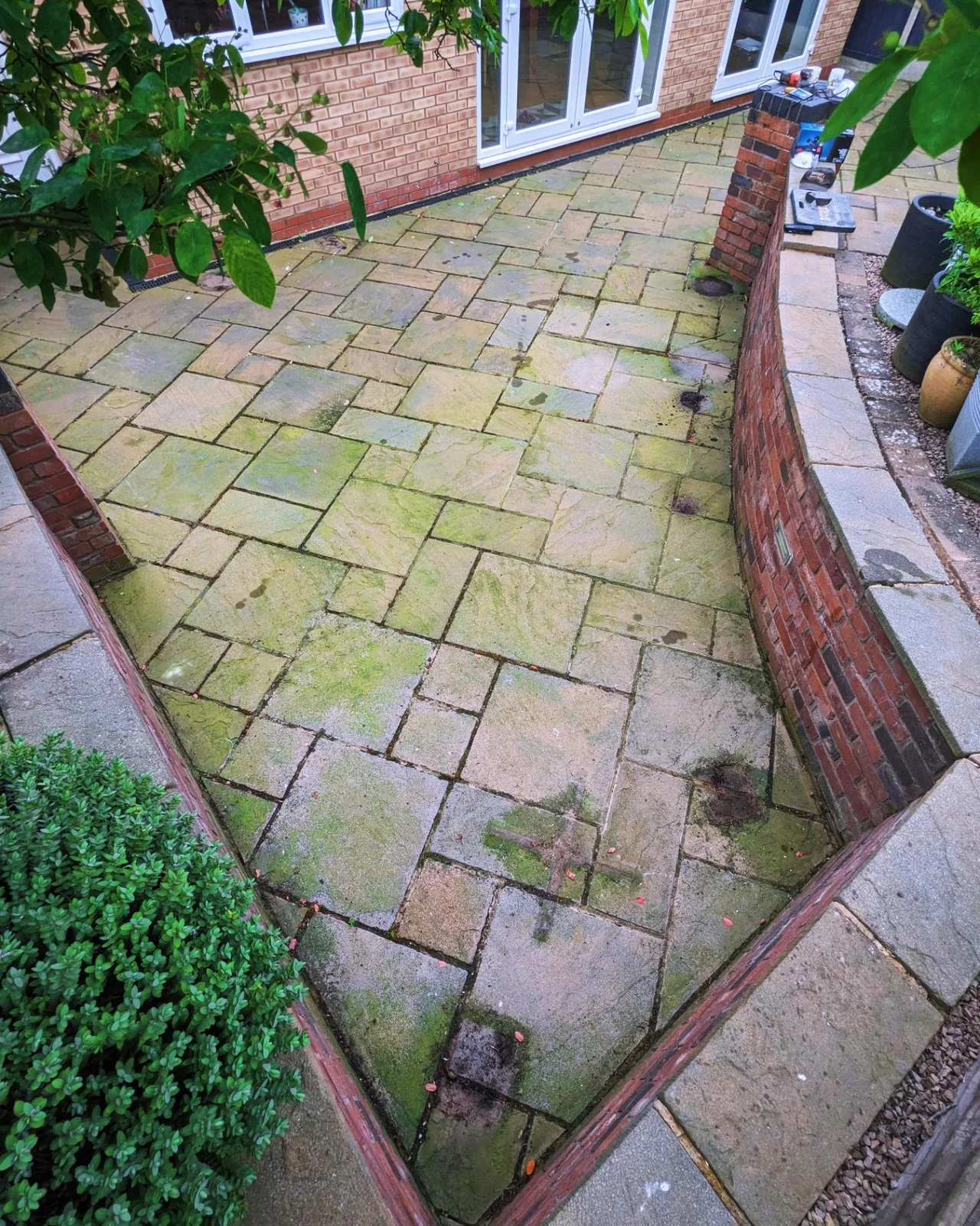 Algae covered paving patio before cleaning
